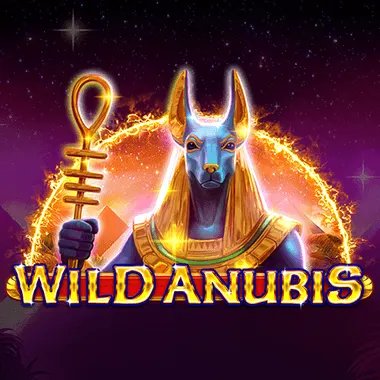 Wild Anubis